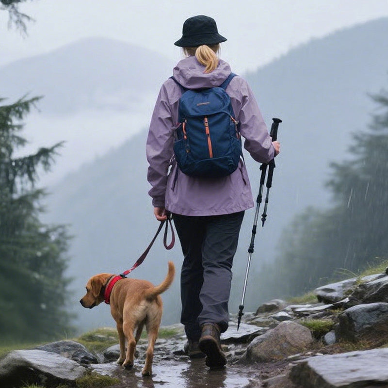 3-in-1 Wasserdichte Damenjacke – Regen-, Wind- & Kälteschutz